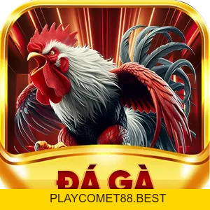 79KING Wiki🎖️79KING.COM Trang Chủ Uy Tín Chính Thức T10/2026 - playcomet88