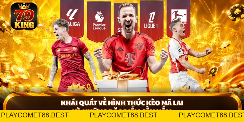 Kèo Mã Lai Là Gì? Luật Chơi Và Cách Đọc Kèo Tại 79king - playcomet88